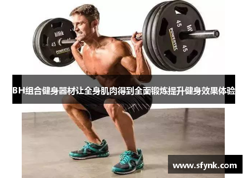 BH组合健身器材让全身肌肉得到全面锻炼提升健身效果体验