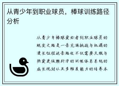 从青少年到职业球员，棒球训练路径分析